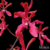 Orquidea Arachnis Flos-aeris X Renanthera Imschotiana - Tam.3 - comprar online