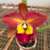 Orquídea Rlc. Saeng U-sa N°6 - Pré adulta