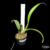 Orquídea Pot. Kozos Scarlet - Pré adulto - comprar online