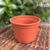 Vaso para Plantio Nutriplan 03