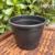 Vaso para Plantio Nutriplan Primavera 02 - comprar online