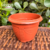 Vaso para Plantio Nutriplan Romano 00