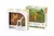 Animales en su habitat - tienda online
