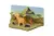 Animales en su habitat en internet