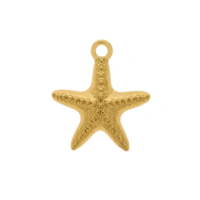 [PINGENTE] Estrela do mar