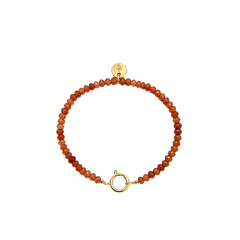 Pulseira Malta Boia na internet