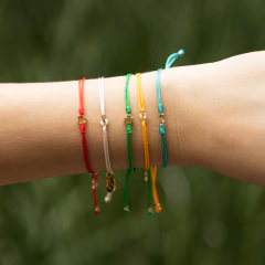 Combo Whishes on internet