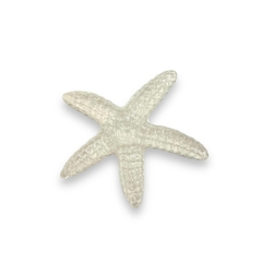 Presilha Estrela do Mar - Amica Mia