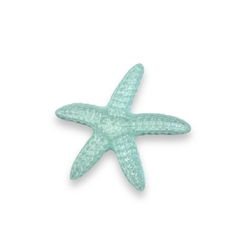 Presilha Estrela do Mar na internet