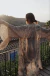 Kimono Virgen Mallorca - Silvina Ledesma Store