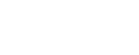 Focus Top Training