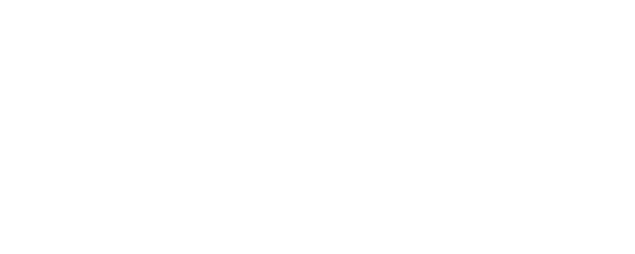 Focus Top Training