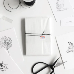 Papel de Seda 35x50cm Branco - 100 Folhas - comprar online