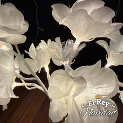 Imagen de Bonsai Magnolia Luminoso 45cm
