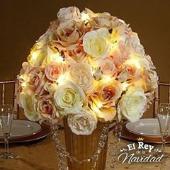 Guirnalda de Luces Cálidas 50 leds 5mts a PILA - tienda online