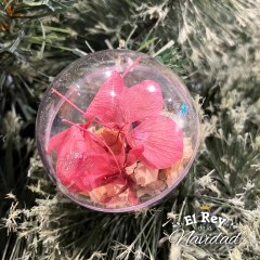 Imagen de Set x 6 Globos transparentes con Flores Secas Rosas N6