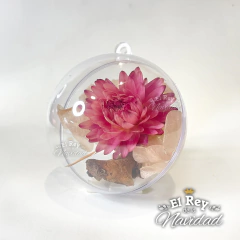 Set x 6 Globos transparentes con Flores Secas Rosas N6