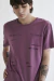 Remera Fuji - Go North