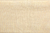 Touch Ivory 905
