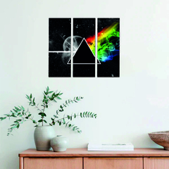Cuadro 48x40 cm - Dark Side, Pink Floyd - Ecológico