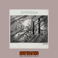 Invisible - Invisible