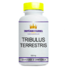 Pote Tribullus Terrestris 500mg 120 cápsulas