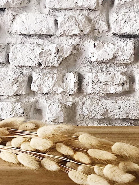 Ramo preservado Amanda