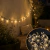 Guirnalda solar 5mts flores
