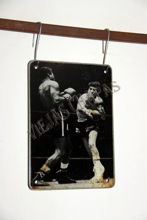 DR-114 monzon pegando 2 - comprar online