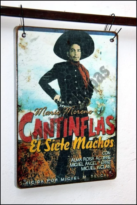 XR-046 Cantiflas - comprar online