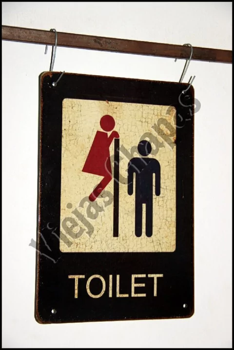 ZR-066 toilet espiando