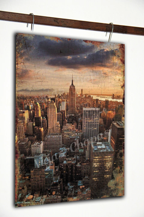 ZR-238 New York City