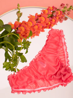 Culotte repollito de microtul Primavera - tienda online