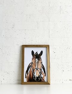 CUADRO 23CM X 33CM CABALLO