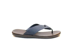 OJOTA ZION DEMOCRATA (015116)