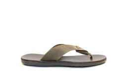 OJOTA ZION DEMOCRATA (015116) - comprar online