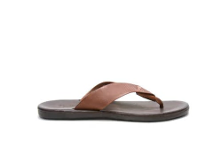 OJOTA ZION DEMOCRATA (015116) - democrata