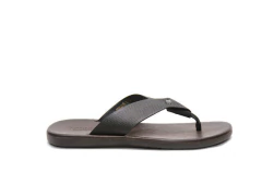 OJOTA ZION DEMOCRATA (015116) - comprar online