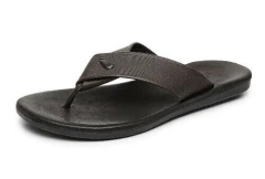 OJOTA ZION DEMOCRATA (015116) en internet