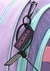 MOCHILA CROMATICO LILA ACQUA CON LLAVERO 18" COSMIC - comprar online
