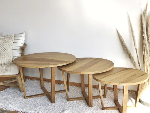 MESA RATONA NEVIS FALLADA