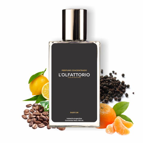 14) Play. Masc. 100ml. Alternativa Concentrada
