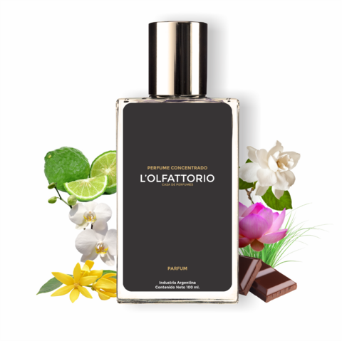 72) Bl4ck 0rchid de TF 100ml. Alternativa Concentrada