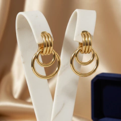 Brinco Feminino Argola Reese Aço Inox Cirúrgico Antialérgico na internet