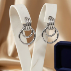 Brinco Feminino Argola Reese Aço Inox Cirúrgico Antialérgico na internet