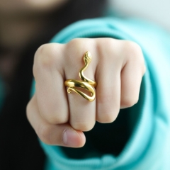 Anel Feminino Snake na internet