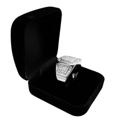 Imagem do Anel Hunter