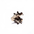 Pins Memorias del Futuro