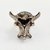 Anillo Vértebra