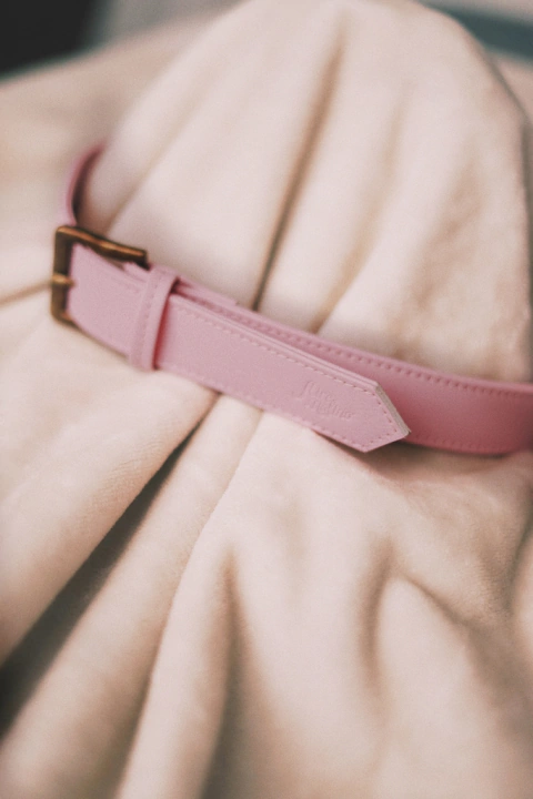 Cinturón aleli rosa